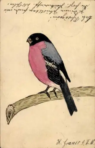 Handgemalt Ak H. Graner, Vogel mit roten Bauch auf einem Ast