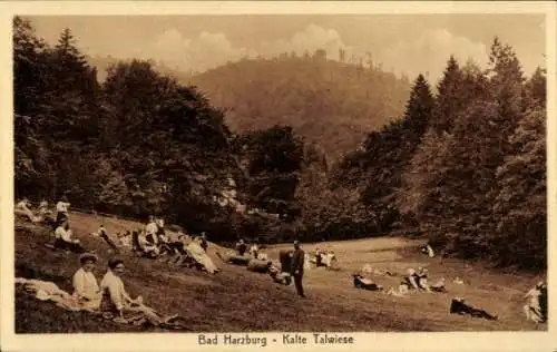 Ak Altfeld Bad Harzburg am Harz,  Kalte Talwiese