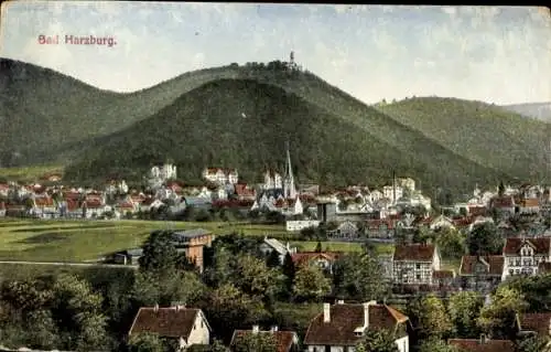 Ak Bad Harzburg am Harz, Panorama