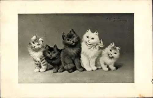 Litho Fünf junge Katzen, Schleife