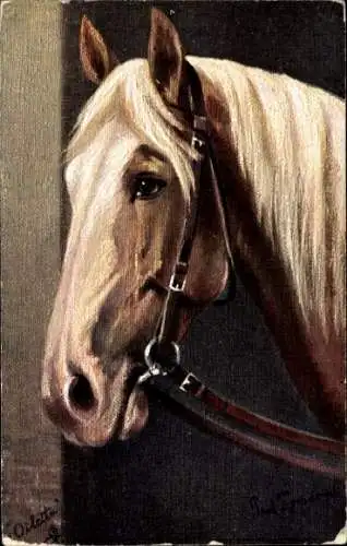 Künstler Ak Thomas, Paul, Pferdeportrait, Pferdekopf mit Zaumzeug, Barbary Stallion, Tuck 9254