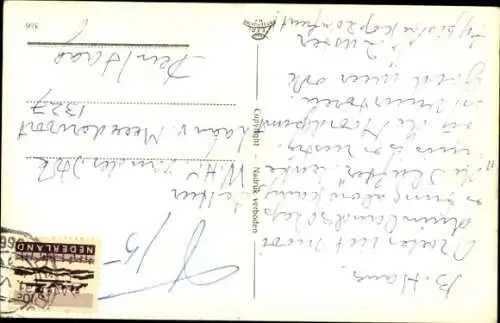 Ak brütender Haubentaucher