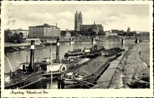 Ak Magdeburg an der Elbe, Elbpartie mit Dom