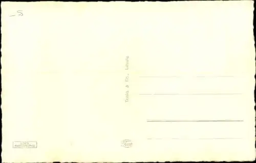 Ak Zwickau Sachsen, Partie am Schwanenteich, Menschen