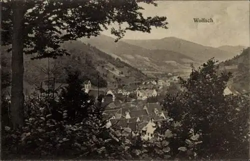 Ak Wolfach im Schwarzwald, Panorama