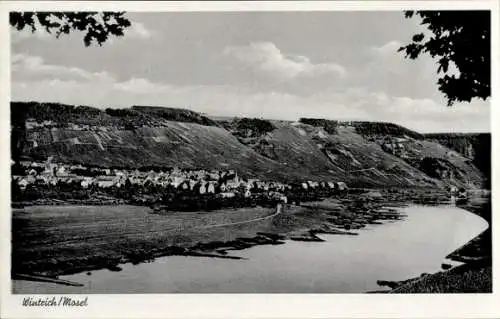 Ak Wintrich an der Mosel, Panorama