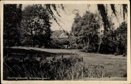 Ak Recklinghausen im Ruhrgebiet, Hindenburgpark