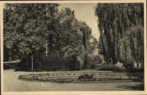 Ak Recklinghausen im Ruhrgebiet, Stadtpark