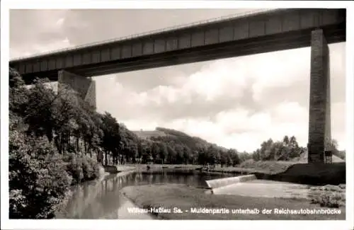 Ak Wilkau Haßlau in Sachsen, Muldenpartie unterhalb der Reichsautobahnbrücke