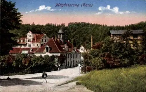 Ak Mägdesprung Harzgerode am Harz, Teilansicht