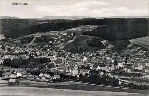 Ak Olbernhau Erzgebirge, Gesamtansicht der Stadt, Felder