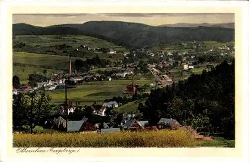 Ak Olbernhau im Erzgebirge Sachsen, Panorama