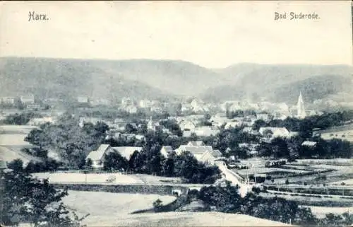 Ak Bad Suderode Quedlinburg im Harz, Gesamtansicht