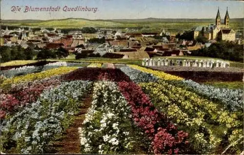 Ak Quedlinburg im Harz, Blick auf Blumenbeete und Stadt