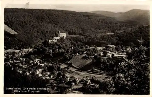 Ak Schwarzburg in Thüringen, Panorama, Blick vom Trippstein