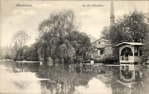 Ak Eberswalde in Brandenburg, An der Schwärze