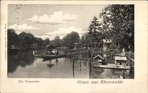 Ak Eberswalde in Brandenburg, Die Promenade