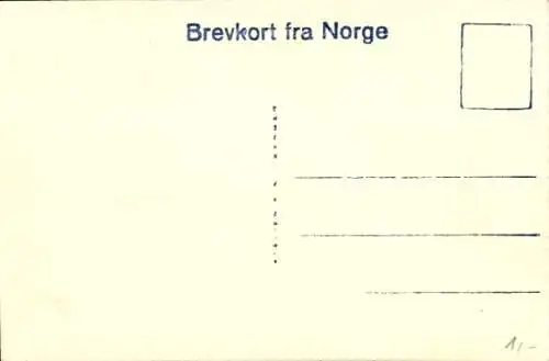 Ak Merok Norwegen, Gesamtansicht der Stadt mit See und Berge