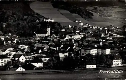 Ak Gozdnica Freiwaldau Schlesien, Gesamtansicht