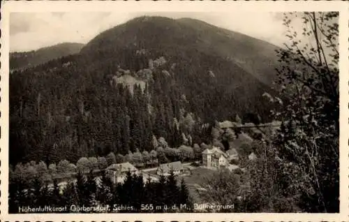 Ak Sokołowsko Görbersdorf Schlesien, Gesamtansicht, Büttnergrund