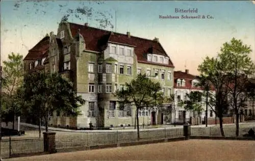 Ak Bitterfeld in Sachsen Anhalt, Bankhaus Schauseil & Co.