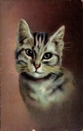 Ak Katzenportrait, Hellbraune Katze, Tierportrait, Hoffmann's Stärkefabriken