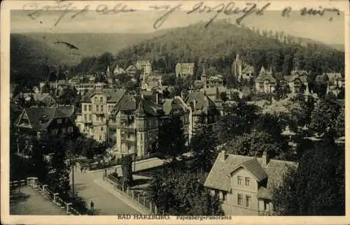 Ak Bad Harzburg am Harz, Blick vom Papenberg