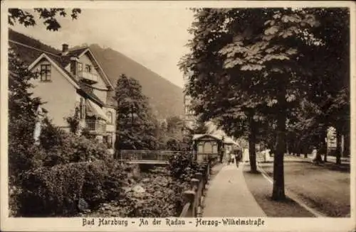 Ak Bad Harzburg am Harz, An der Radau, Hezog Wilhelm Straße