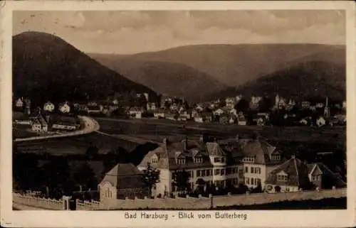 Ak Bad Harzburg am Harz, Jungborn, Blick vom Butterberg