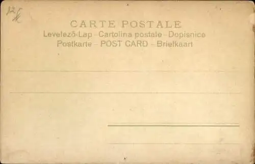 Künstler Ak Vier Katzen, Blumen