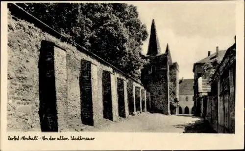 Ak Zerbst in Anhalt, Stadtmauer, Kirchturm, Fachwerkhäuser