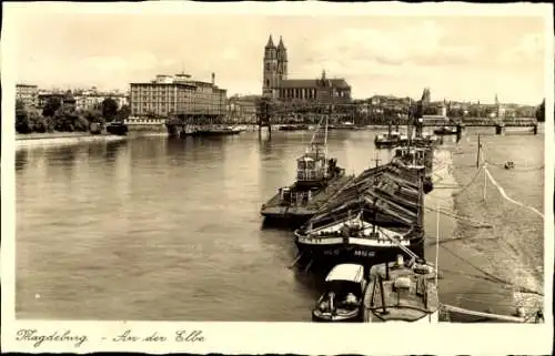 Ak Magdeburg in Sachsen Anhalt, Flusspartie, Frachter, Stadtblick