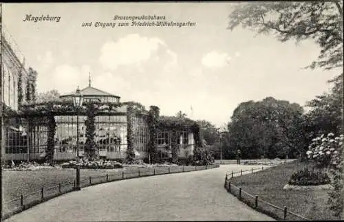 Ak Magdeburg an der Elbe, Grusongewächshaus und Eingang zum Friedrich Wilhelms Garten