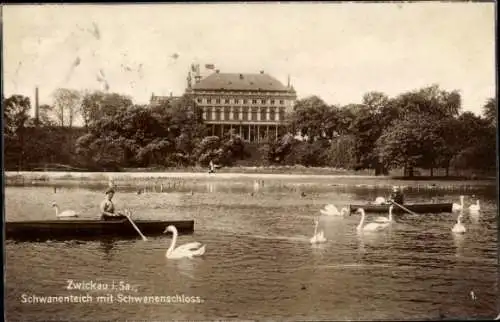 Ak Zwickau in Sachsen, Schwanenteich, Schwanenschloss, Schwäne, Ruderboote