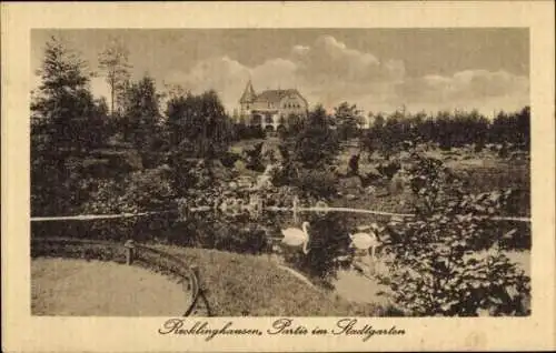 Ak Recklinghausen im Ruhrgebiet, Partie im Stadtgarten, Schwäne