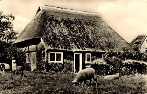 Ak Ostseebad Zingst, Fischerhaus