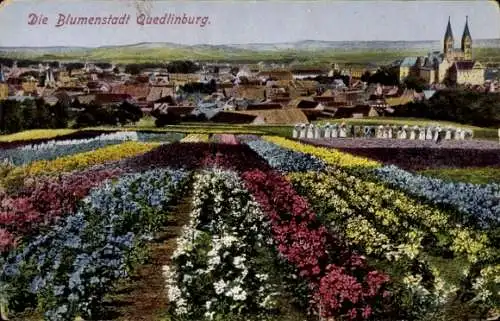 Ak Quedlinburg im Harz, Blick auf Blumenbeete und Stadt