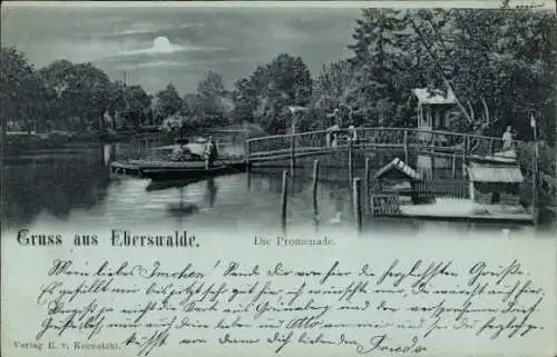 Mondschein Ak Eberswalde in Brandenburg, Die Promenade