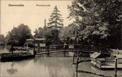 Ak Eberswalde in Brandenburg, Promenade