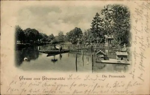 Ak Eberswalde in Brandenburg, Die Promenade