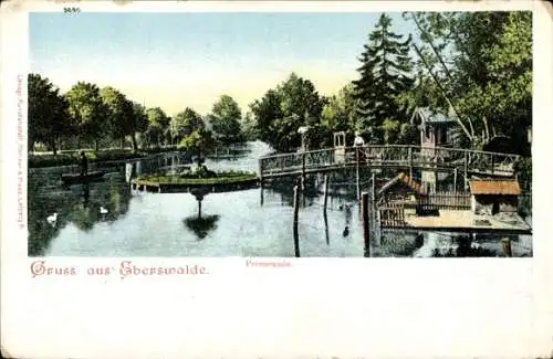 Ak Eberswalde in Brandenburg, Promenade