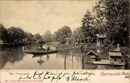 Ak Eberswalde in Brandenburg, Die Promenade