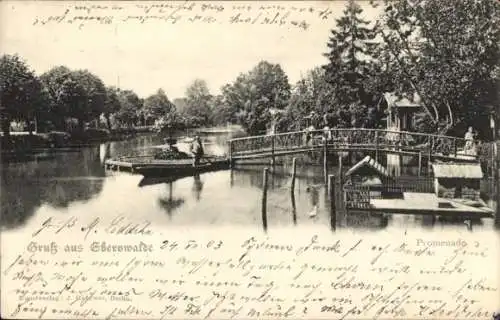 Ak Eberswalde in Brandenburg, Promenade