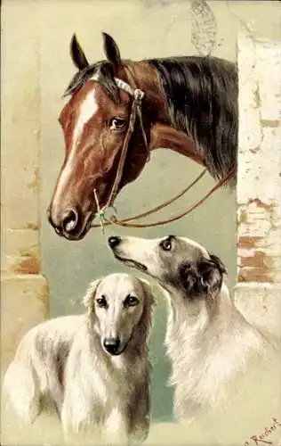 Künstler Ak Reichert, Pferd, Hunde, Barsoi