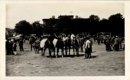 Foto Ak Buttstädt in Thüringen, Roßmarkt, Pferde