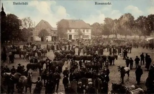 Ak Buttstädt in Thüringen, Rossmarkt. Vieh