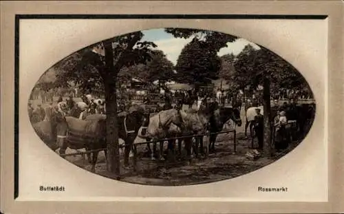 Präge Ak Buttstädt Thüringen, Rossmarkt, Pferde