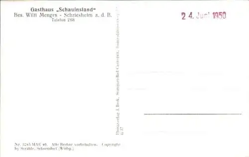Ak Schriesheim an der Bergstraße, Fliegeraufnahme, Gasthaus Schauinsland