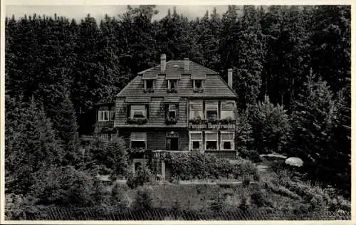 Ak Schierke Wernigerode im Harz, Pension Bergfrieden