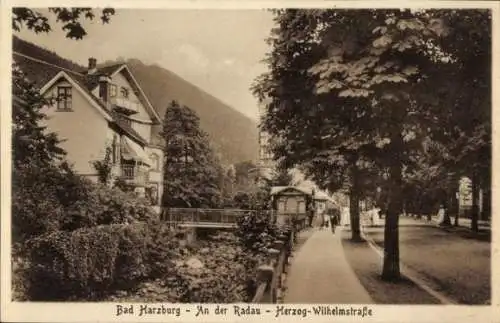 Ak Bad Harzburg am Harz, An der Radau, Herzog-Wilhelmstraße